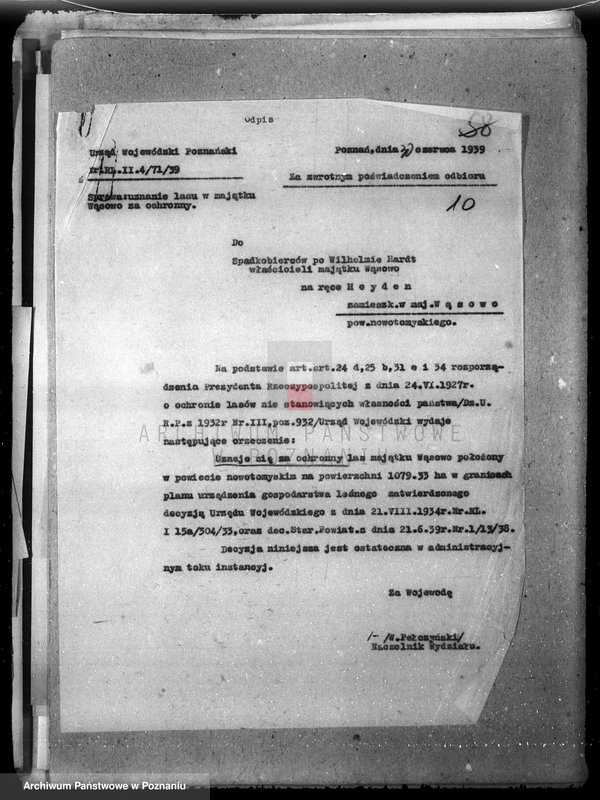 Obraz 15 z jednostki "/Majętność leśna Wąsowo w powiecie nowotomyskim/"