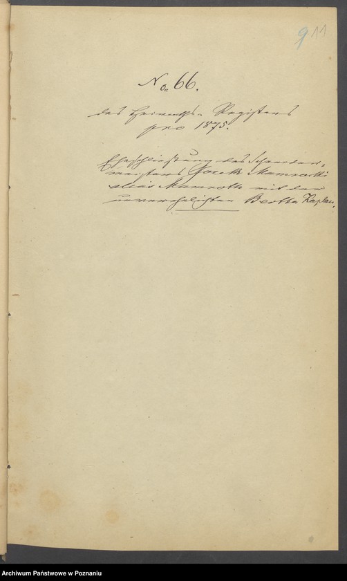Obraz 13 z jednostki "Die von den Verlobten beigebrachten Urkunden zur Eheschliessung pro 1875"
