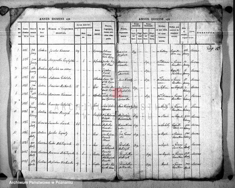 Obraz 11 z jednostki "Duplikat baptisatorum, copulatorum u. mortuorum"