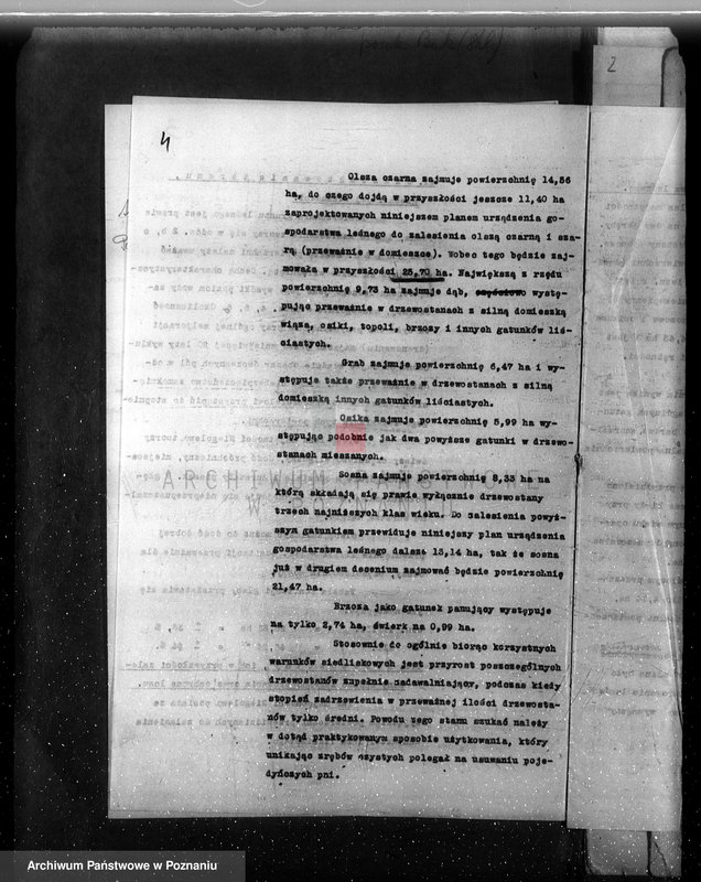 Obraz 8 z jednostki "Plan urządzenia gospodarstwa leśnego dla lasu majątku Niego lewo powiat nowotomyski 1927-1937"