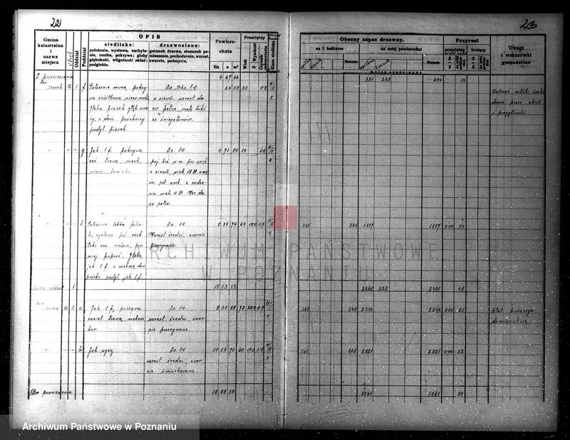 Obraz 19 z jednostki "Plan gospodarczy lasów Wydziału Wielichowo Teresy ks. Lubomirskiej na dziesięciolecie 1935/36-1944/45"