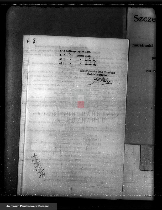 Obraz 12 z jednostki "Plan urządzania gospodarstwa leśnego dla lasu majętności Bonikowo - powiat kościański"