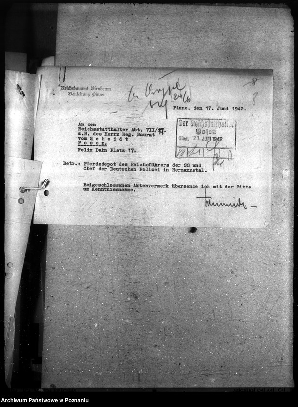 Obraz 12 z jednostki "Pferdedepot der Polizei - Hermanntal bei Neustadt (Posadowo, powiat Nowy Tomyśl) II"