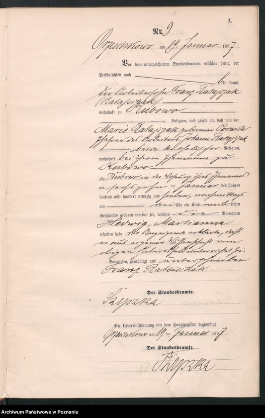 Obraz 12 z jednostki "Księga urodzeń"