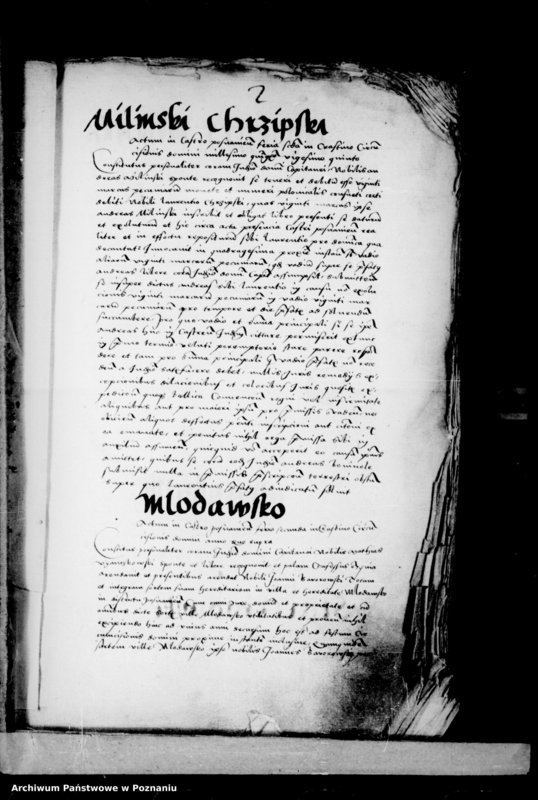 Obraz 5 z jednostki "Inscriptiones, relationes, decreta [inducta]"