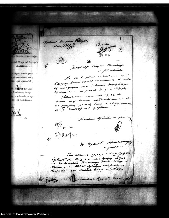 Obraz 7 z jednostki "Parcelacja lasu Witobel XV powiatu poznańskiego Walenty Przybylski"