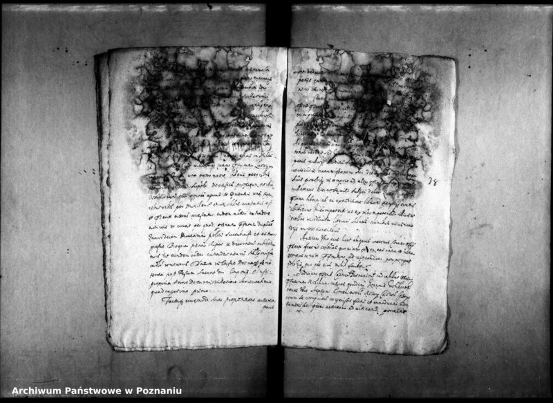 Obraz 20 z jednostki "Decreta officii [inducta]"