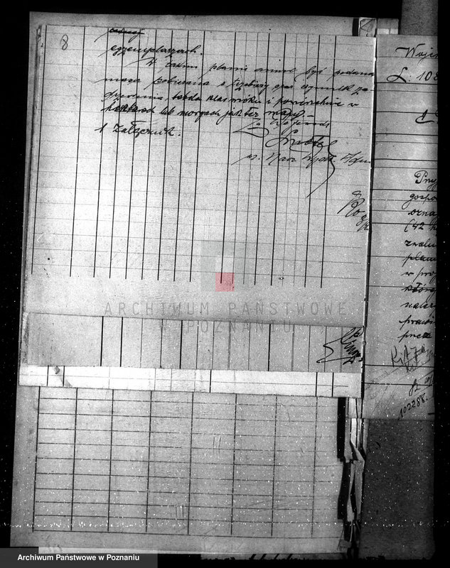 Obraz 12 z jednostki "Nadzór nad gospodarką w lasach majętności Ruchocin powiecie gnieźnieńskim"