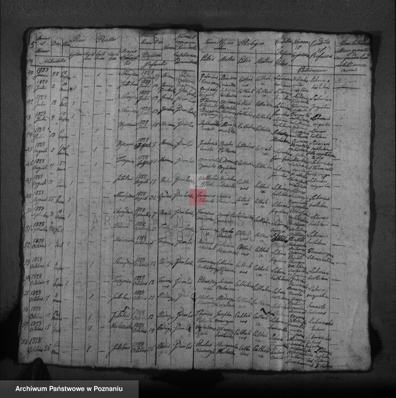 image.from.unit.number "Księga ślubów, chrztów i pogrzebów"