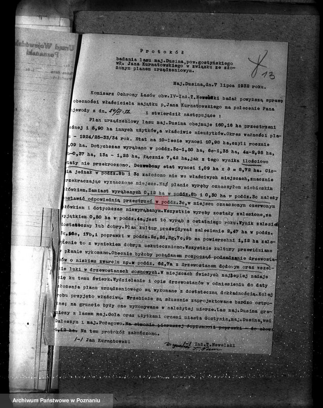 Obraz 17 z jednostki "Nadzór nad gospodarką w lasach majątku Dusina w powiecie gostyńskim"