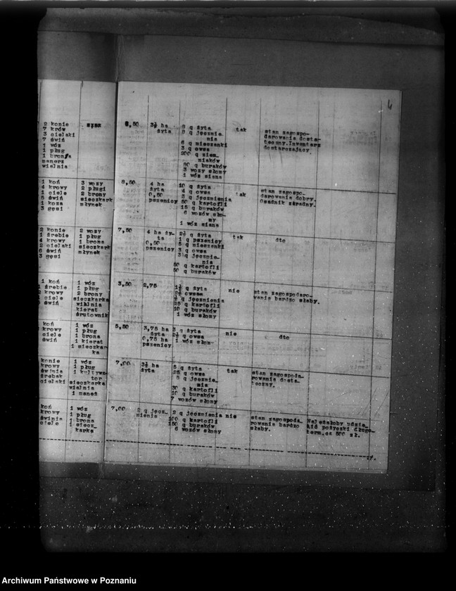 Obraz 8 z jednostki "Wykaz osadników z wyszczególnionym stanem ich zagospodarowania w majątkach Wyrza, Wysoka Mała, Jeziorki Kosztowskie, Stare i Łobżenica powiat wyrzyski"