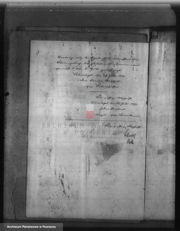 Obraz 13 z jednostki "Las gminy Olszewo powiat ostrowski"