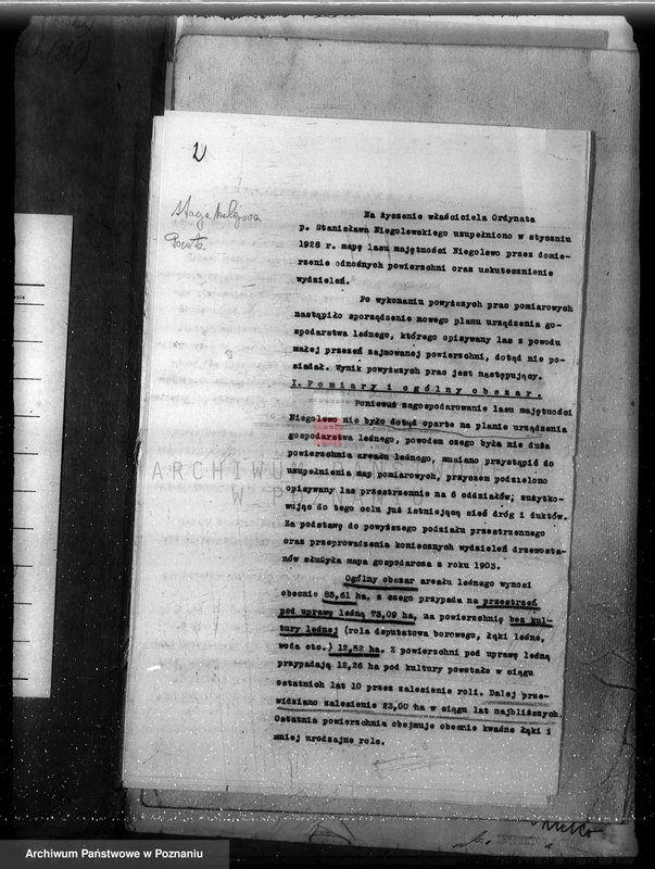 Obraz 6 z jednostki "Plan urządzenia gospodarstwa leśnego dla lasu majątku Niego lewo powiat nowotomyski 1927-1937"