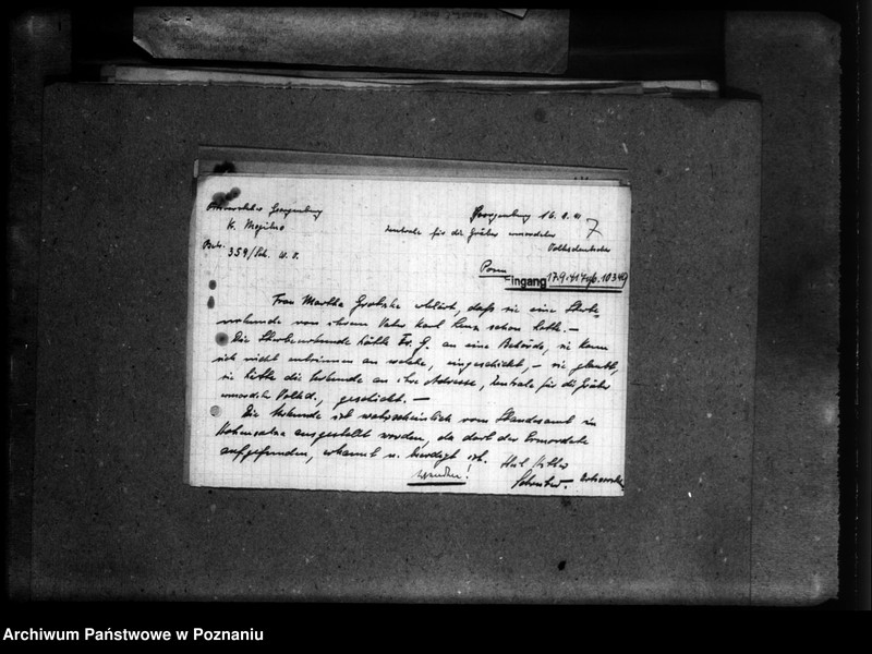 Obraz 11 z jednostki "Korespondencja w sprawie Niemców z różnych powiatów, którzy zginęli w 1939 roku"