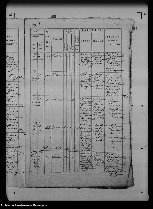 Obraz 17 z jednostki "[Kopie ksiąg metrykalnych parafii Maćkowice z filią Kosienice (dekanat Przemyśl)]"