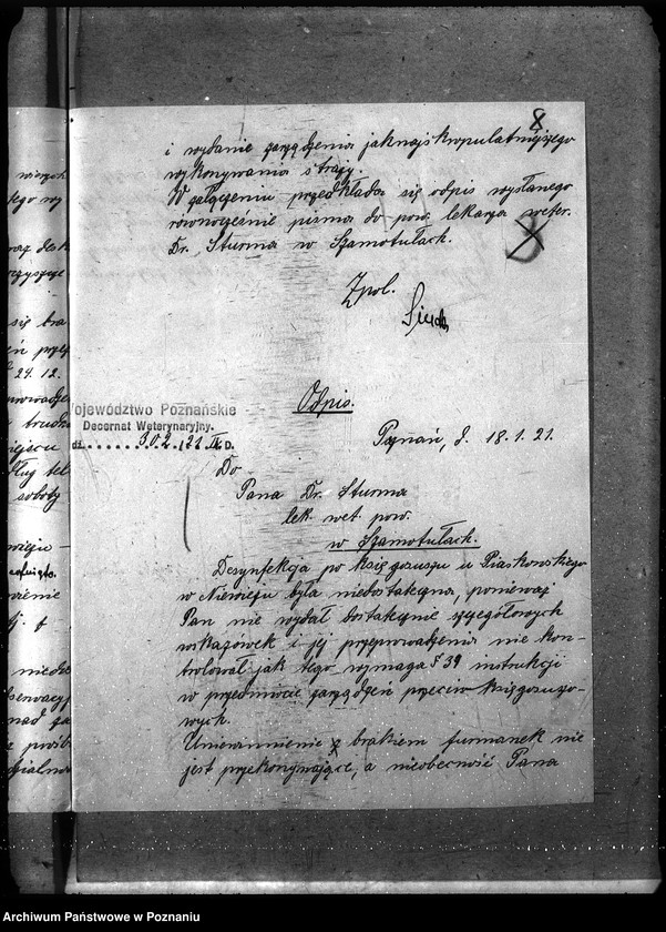 Obraz 12 z jednostki "Księgosusz - Szamotuły"