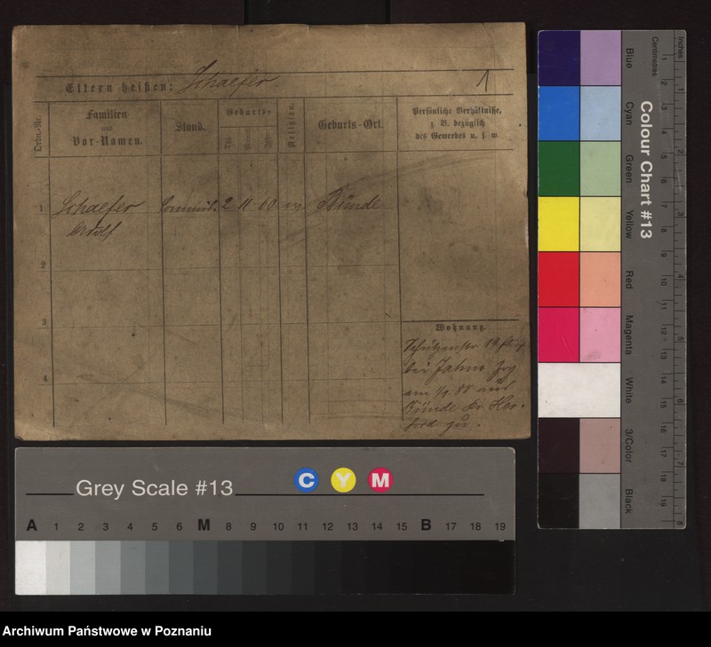 Obraz 3 z jednostki "Szefer (samotni mężczyźni i kobiety) - Szel"