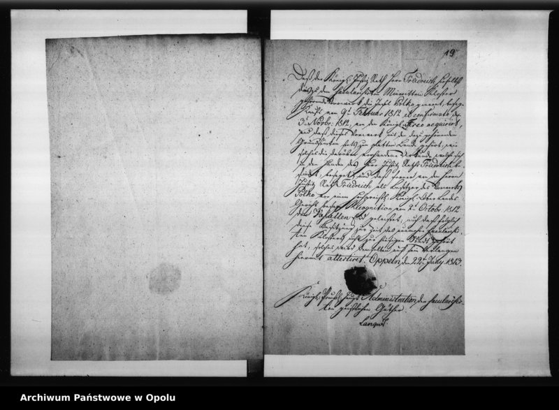 Obraz 19 z jednostki "Acta des Magistrats zu Oppeln ueber die Frage ob die ehemalige Minoritten Innsel Polko zum Lande oder zum städtischen Verbande gehören? 1813"