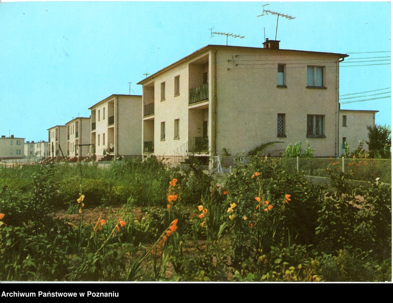 Obraz 1 z jednostki "Manieczki - osiedle mieszkaniowe pracowników kombinatu PGR"