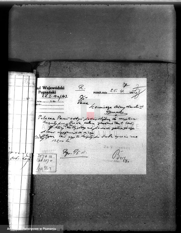 Obraz 11 z jednostki "Nadzór nad gospodarką w lasach majętności Koszuty powiat średzki"