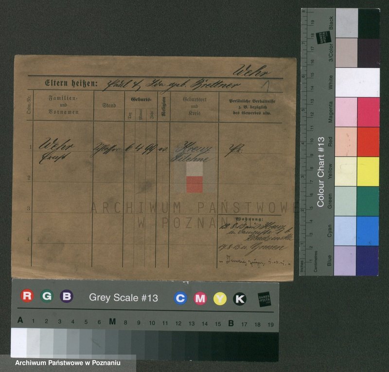 Obraz 5 z jednostki "Wer - Werner (żonaci i wdowy)"