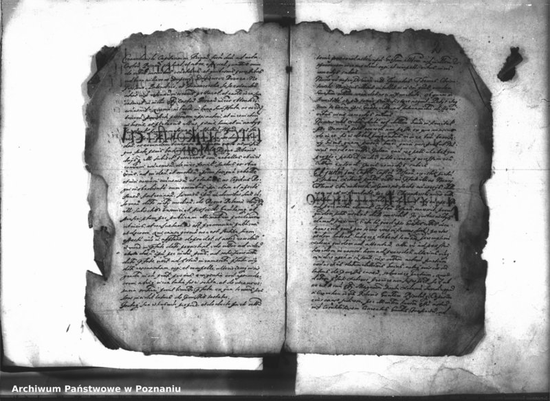 Obraz 5 z jednostki "Decreta iudicii [inducta]"