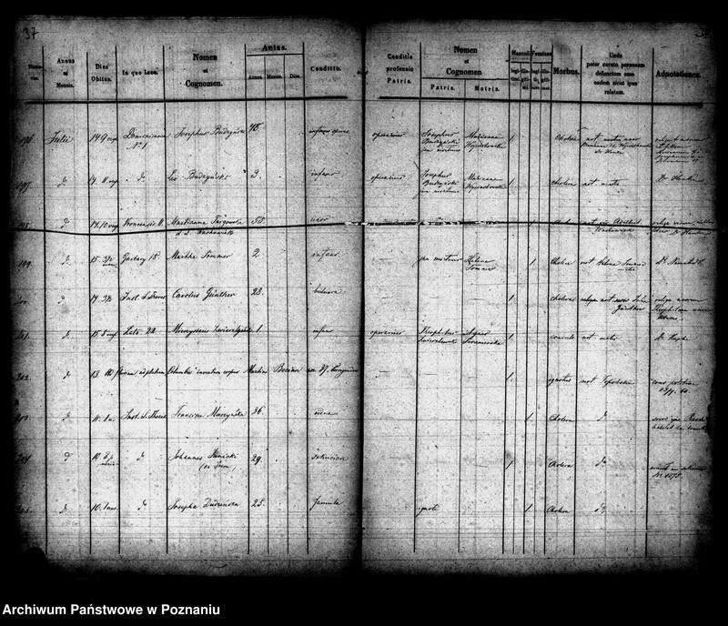 Obraz 20 z jednostki "Księga zgonów"