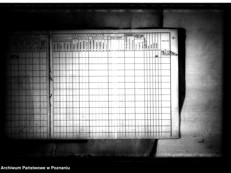Obraz 12 z jednostki "Księga sprawozdawczo-statystyczna powiatu szubińskiego dla parcelacji Państwowego Banku Rolnego"