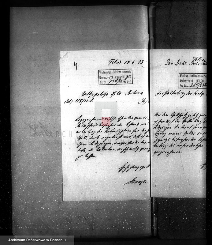 Obraz 8 z jednostki "Zarząd majętności /leśnej/ Tulce"