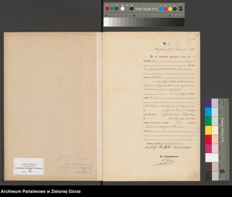 image.from.unit.number "[Księga urodzeń]"