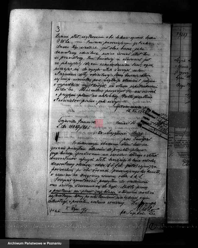 Obraz 7 z jednostki "Nadzór nad gospodarką w lasach majętności Bucz powiat kościański"