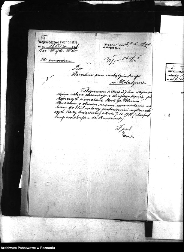 Obraz 9 z jednostki "Nosacizna - Wolsztyn"