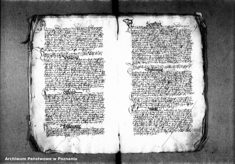 Obraz 14 z jednostki "Inscriptiones, relationes, decreta [inducta]"