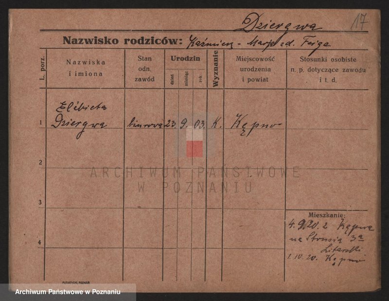 Obraz 19 z jednostki "Dzierbicka - Dzikiewicz"