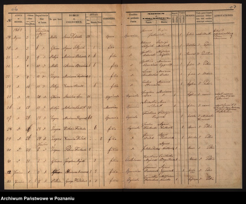 Obraz 5 z jednostki "Księga zgonów"