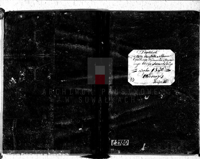 image.from.unit.number "Duplikat Akta Urzędnika Stanu Cwilnego Wyznania Moyżeszowego Okręgu Suwalskiego Urodzonych z roku 1830"