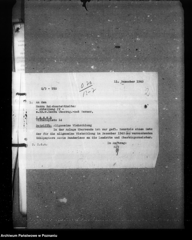 Obraz 6 z jednostki "Zarządzenia i korespondencja w sprawie sporządzenia spisu bydła"