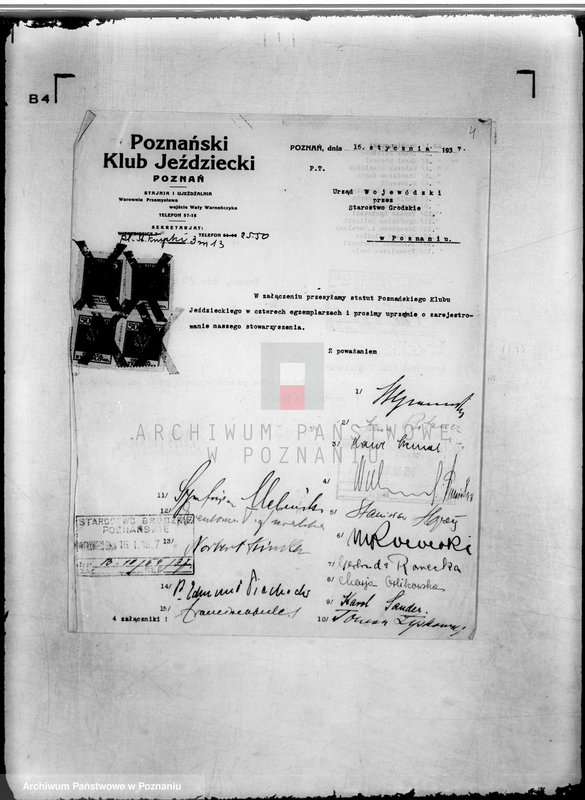 Obraz 8 z jednostki "/Poznański Klub Jeździecki w Poznaniu/"