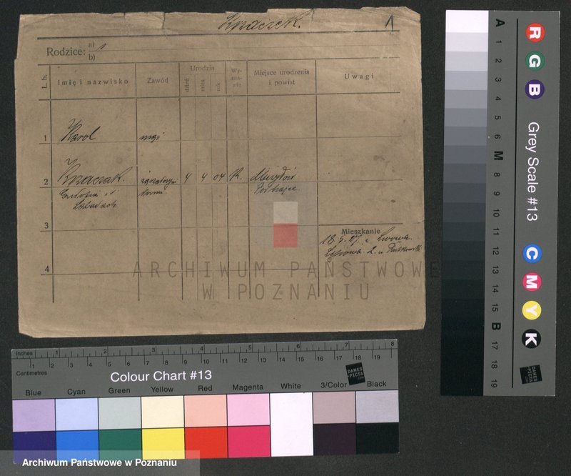 Obraz 1 z jednostki "Krzaczek - Krzyślak"