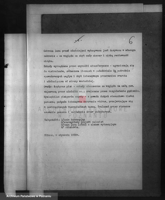 Obraz 10 z jednostki "Program urządzenia gospodarstwa leśnego dla lasu majętności Glinno powiat poznański 1938-1948"