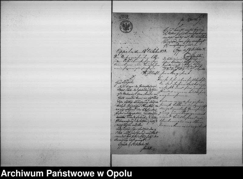 Obraz 5 z jednostki "Acta des Magistrats zu Oppeln betreffend: die Ertheilung von Concessionen an jüdische Privatlehrer de Anno 1842"