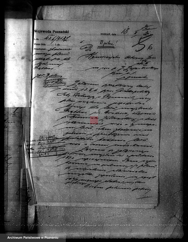 Obraz 10 z jednostki "Nadzór nad gospodarką w lasach majątku Ujazd powiat kościański"