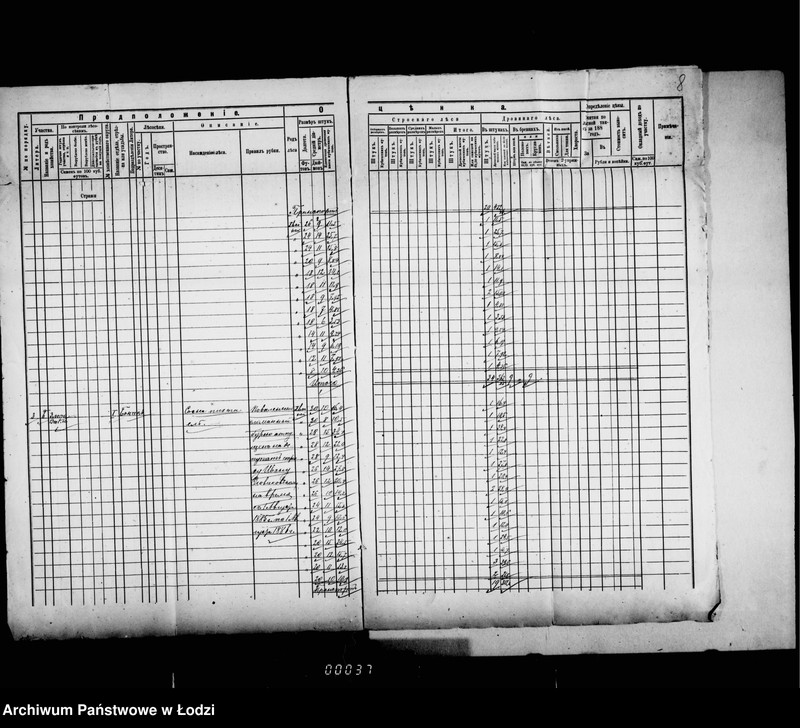 Obraz 11 z jednostki "O gorodskich lesach"
