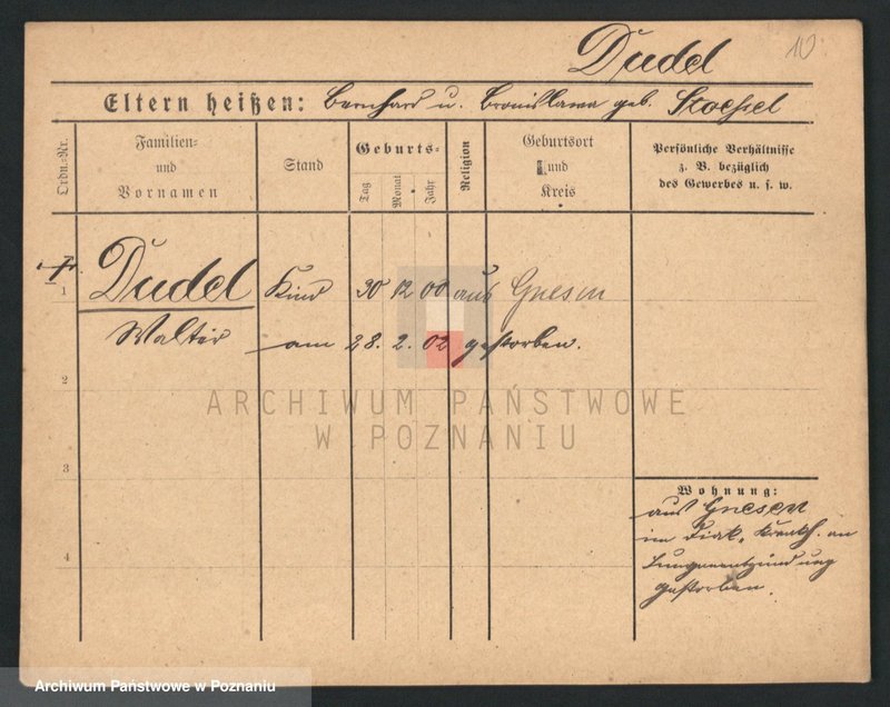 Obraz 12 z jednostki "Dudel - Dunin"