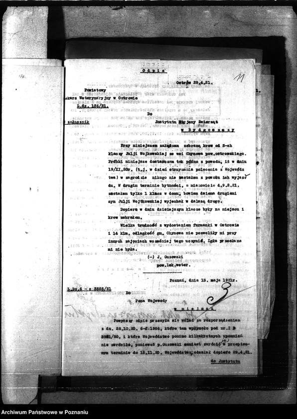 Obraz 15 z jednostki "Nosacizna - Ostrów"