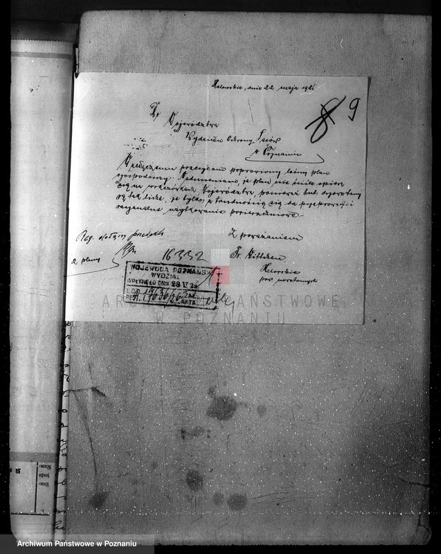 Obraz 13 z jednostki "/Nadzór nad gospodarką w lasach majątku Lubień-Helowskie w powiecie nowotomyskim"