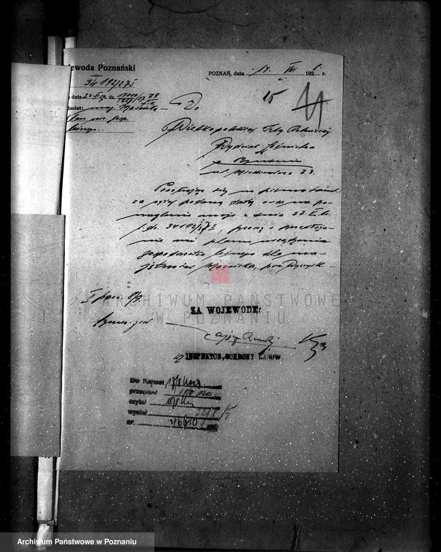 Obraz 20 z jednostki "Majętność leśna Kostrzynek-Mościska powiat wyrzyski"