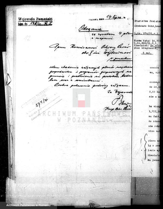 Obraz 16 z jednostki "Magistrat miasta Czarnkowa /nadzór nad gospodarką leśną/"