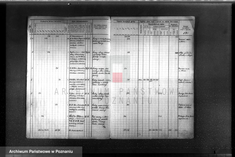 image.from.unit.number "Plan urządzenia gospodarstwa leśnego Baborówko-Baborowo powiat szamotulsko-obornicki 1929-1939"