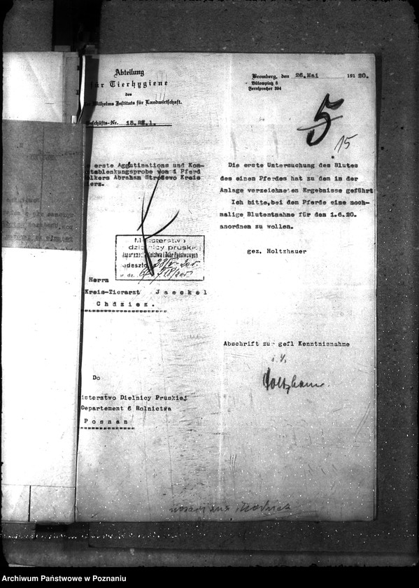 Obraz 20 z jednostki "Nosacizna - Chodzież"